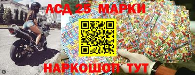 индика Можга