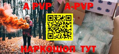 индика Можга