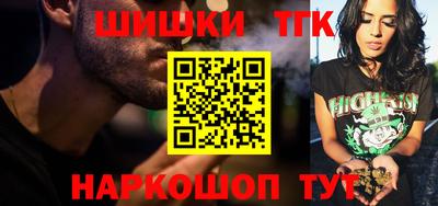 индика Можга