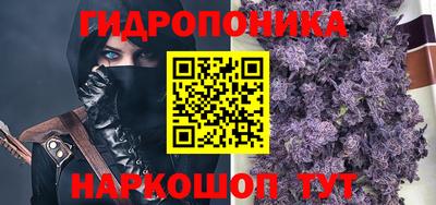 гашик Можайск
