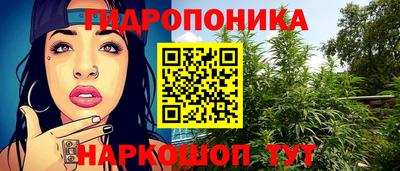 индика Можга