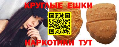 индика Можга