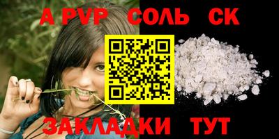 индика Можга