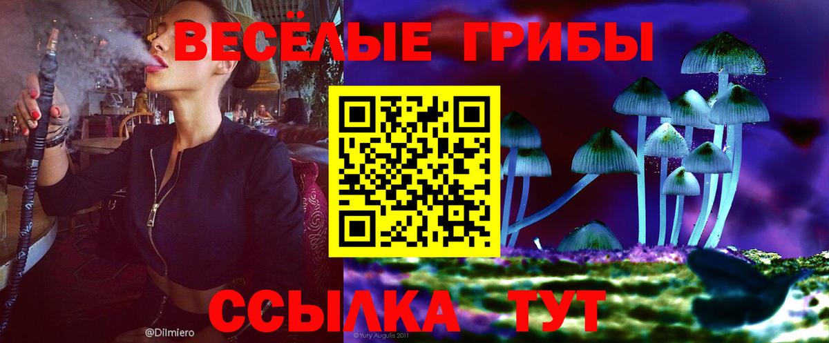 Галлюциногенные грибы MAGIC MUSHROOMS  Вход с VPN  Шелехов 