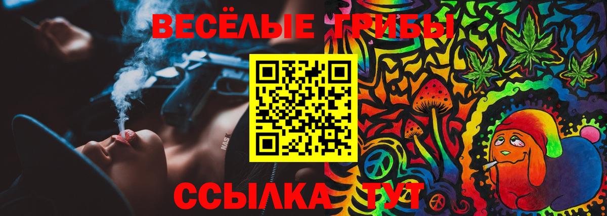 Псилоцибиновые грибы Psilocybe Шелехов