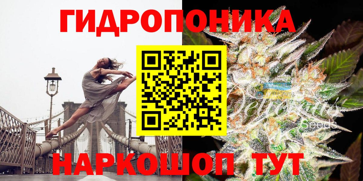 Бошки Шишки планчик Шелехов